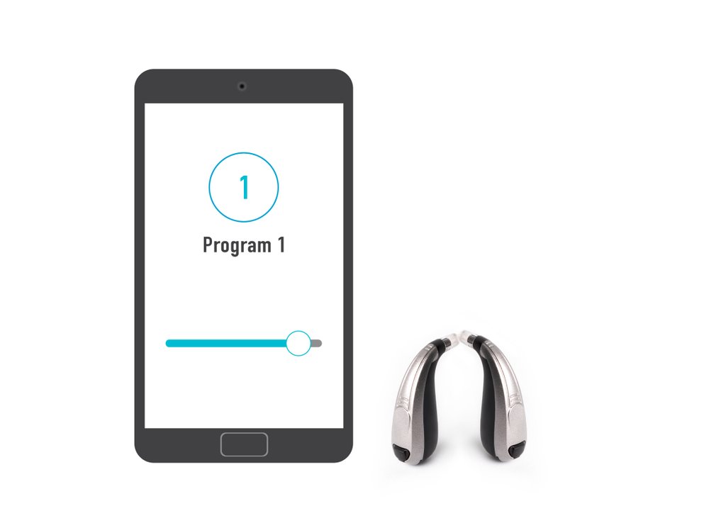 Hearing Aid Programs: The What, How, and Why