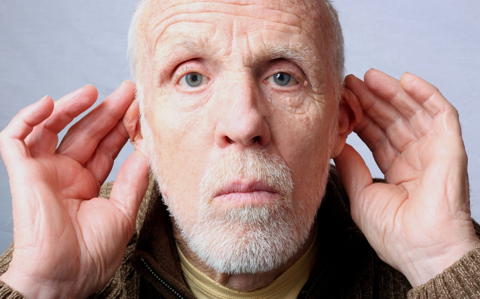 How Does the Brain Respond to Sound