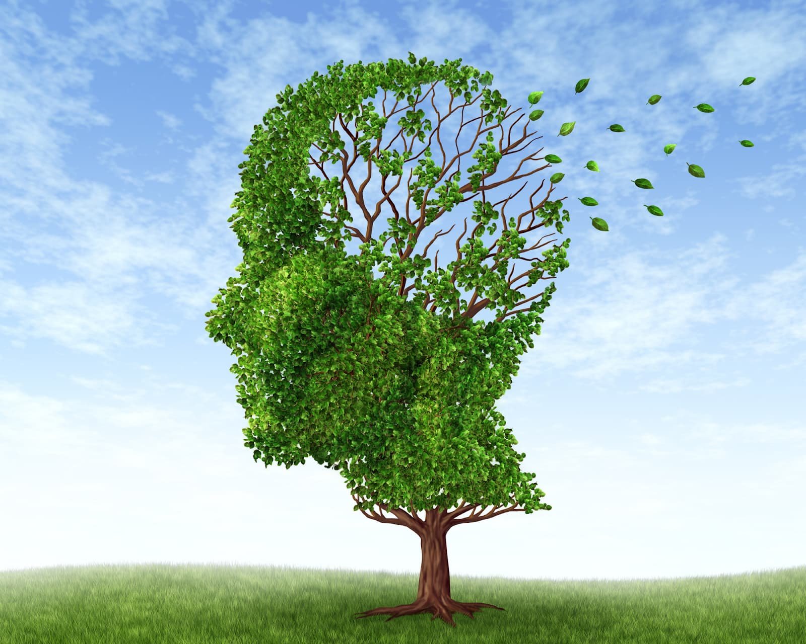 How Hearing Loss and Memory Loss Are Connected